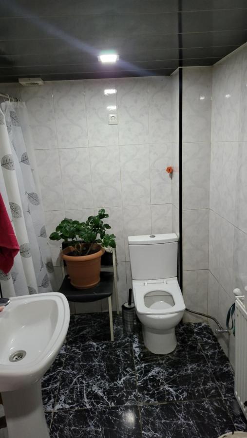 Happy Pandasn12 Hotel Borjomi Bagian luar foto