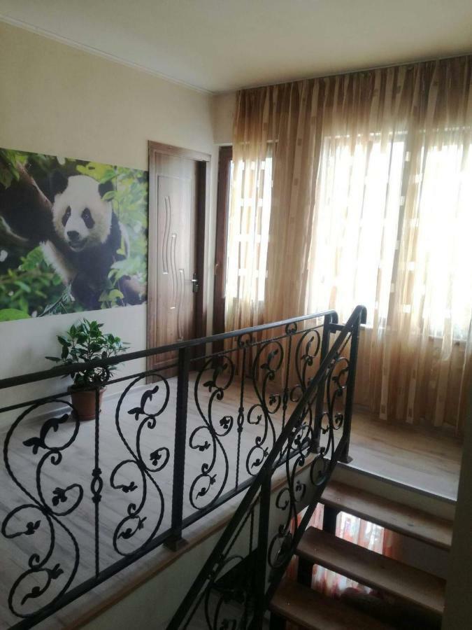 Happy Pandasn12 Hotel Borjomi Bagian luar foto