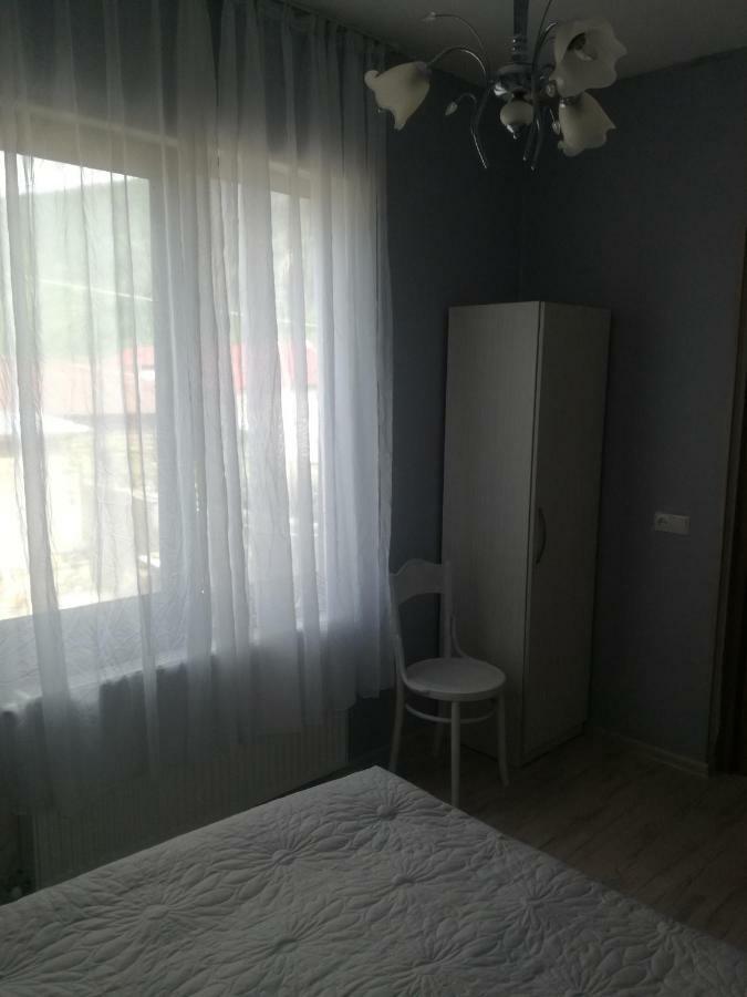 Happy Pandasn12 Hotel Borjomi Bagian luar foto