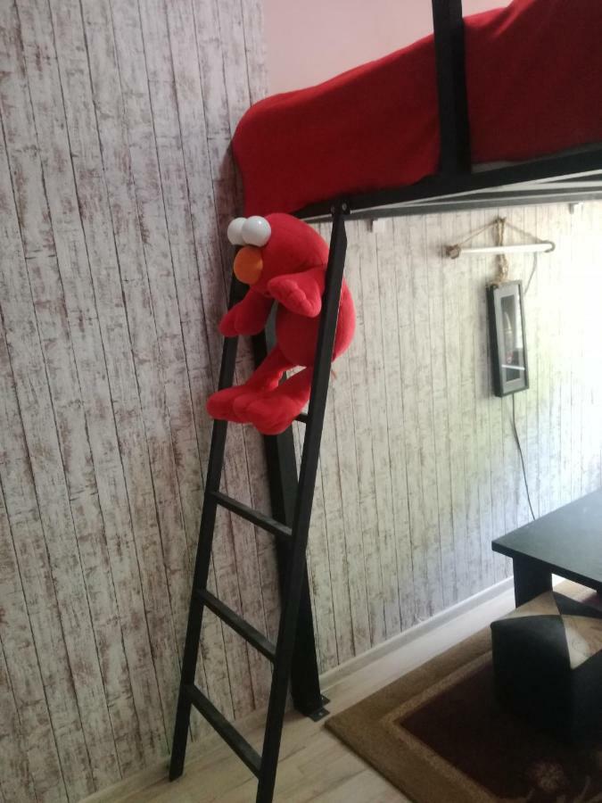 Happy Pandasn12 Hotel Borjomi Bagian luar foto